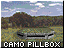 게임_공략:레드얼럿:아이콘:camo_pillbox.gif